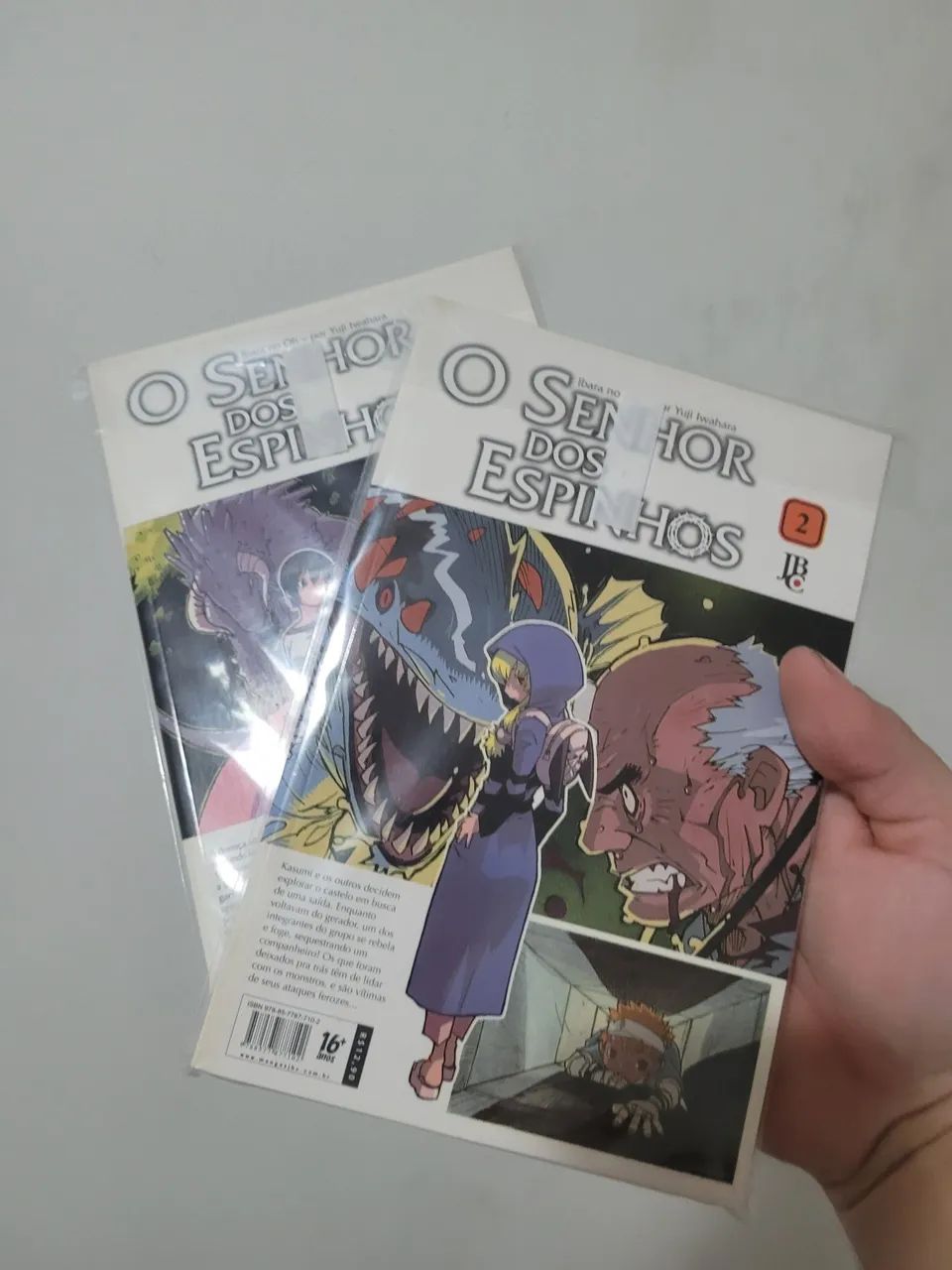 Senhor dos Espinhos vol 1 e 2  - Foto 4