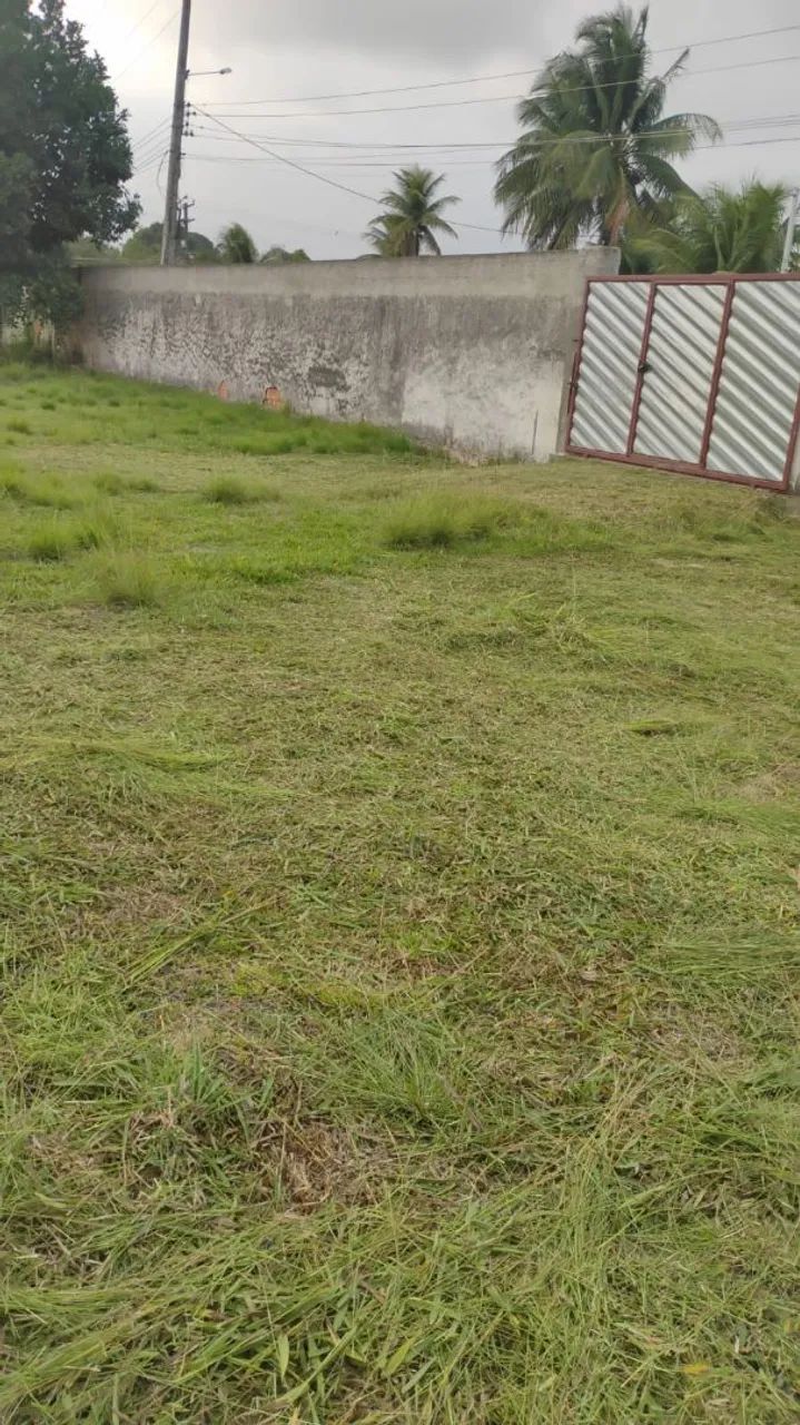 Vendo Mini Sítio em Seropédica - (Campo  Lindo) SOMENTE VENDA - Foto 4