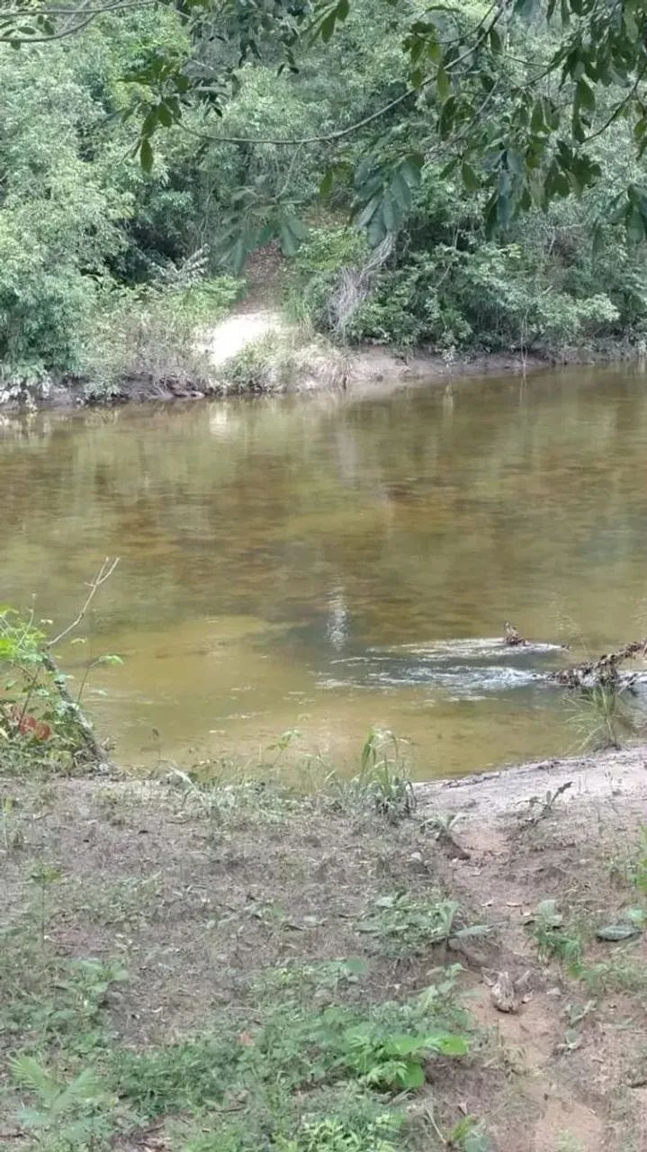 Fazenda para cria de gado, Teresina de Goiás/GO - Foto 3