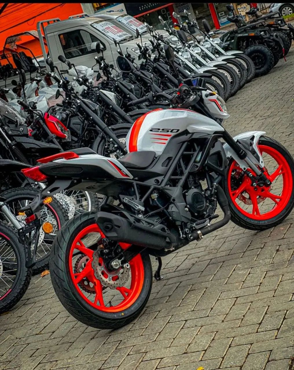 Shineray 250 2026 - 1435167379 | OLX