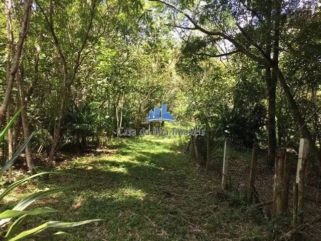 Terreno no Ratones com viabilidade Condomínio - Foto 3