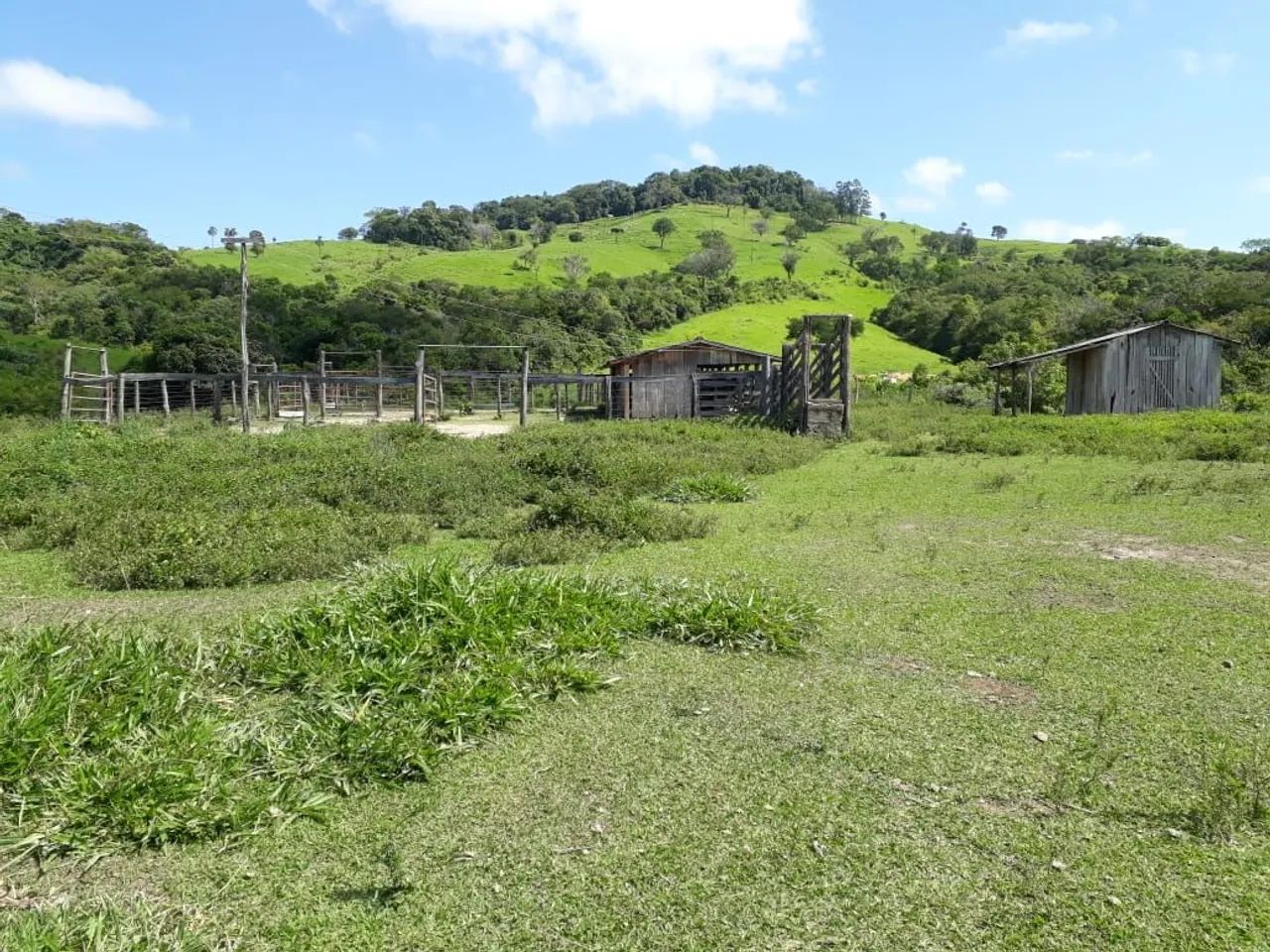 Fazenda 1+ 5 pagamentos 