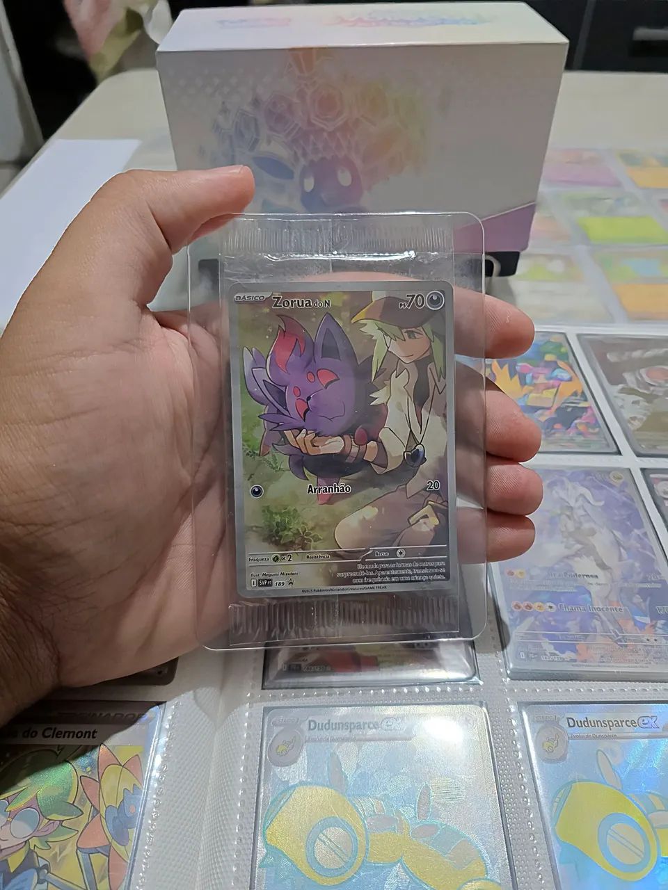 Carta Zorua do N - Pokémon TCG Amigos de Jornada 