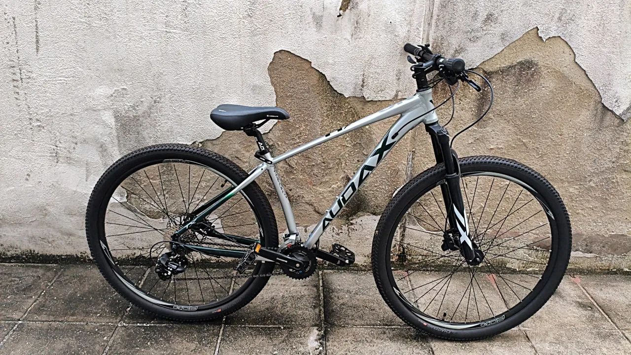 Bicicleta Audax Aro 29
