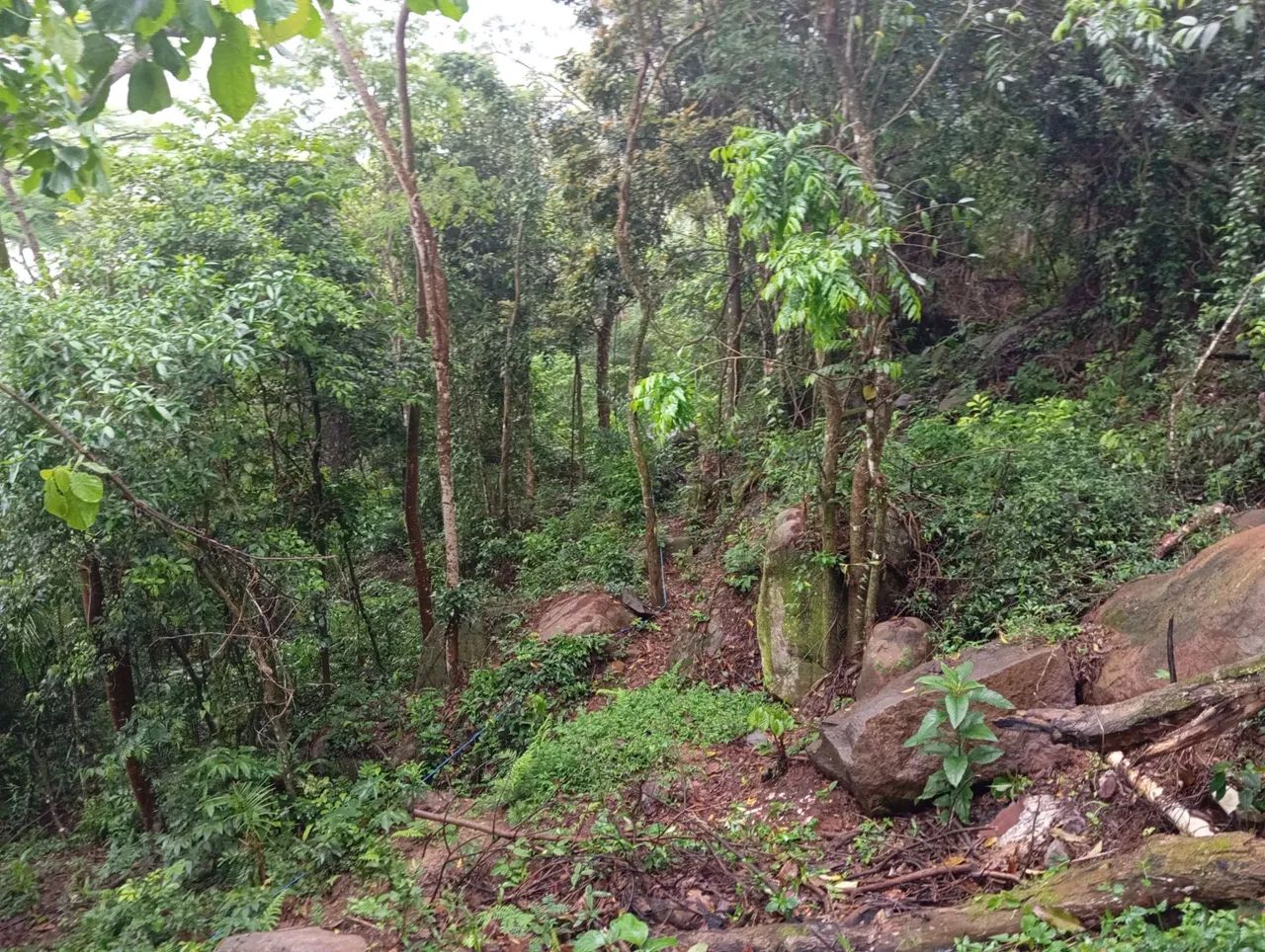 Lindo terreno em Garopaba com vista com escritura  - Foto 5