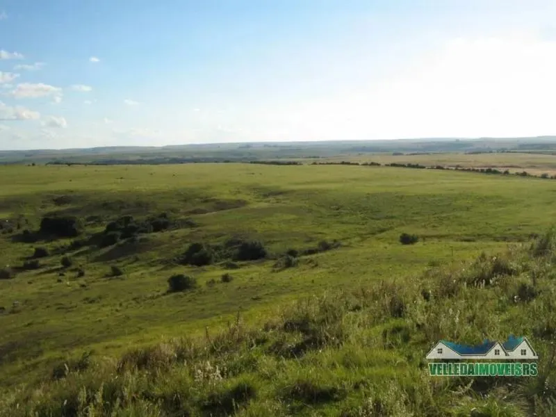 Velleda oferece encantadora fazenda de 240 hectares para pecuária, Santana do Livramento