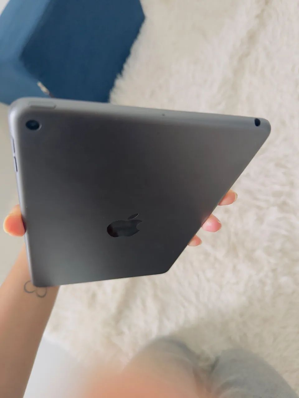 iPad Mini64169280294786125
