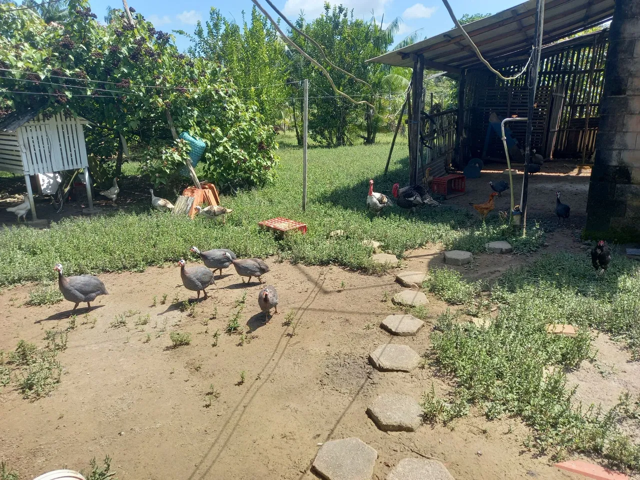 Sítio em Santa Bárbara