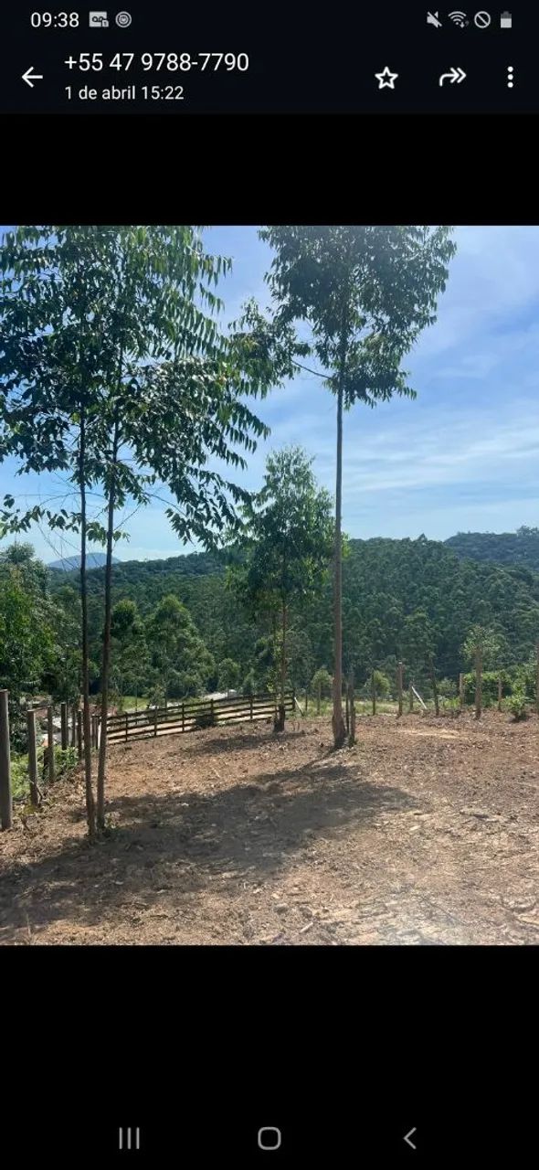 vende se terreno no brilhante - Foto 2