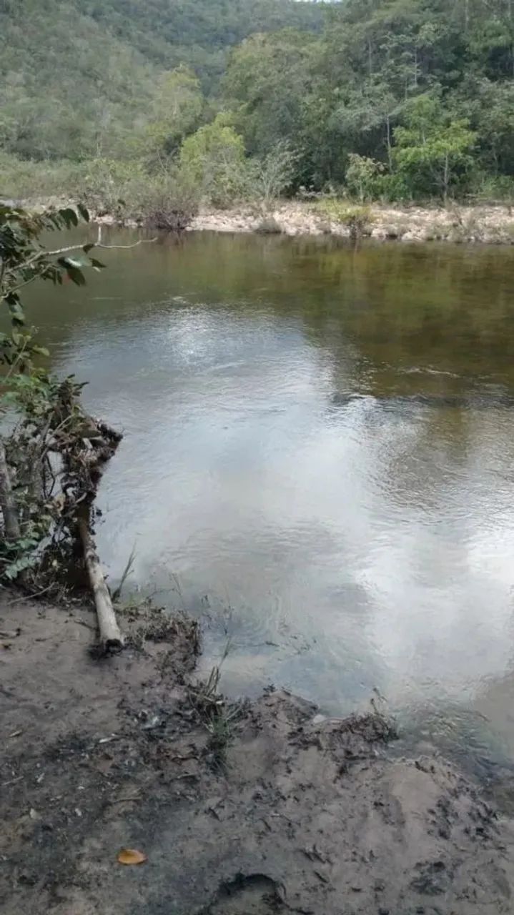 Fazenda para cria de gado, Teresina de Goiás/GO - Foto 4