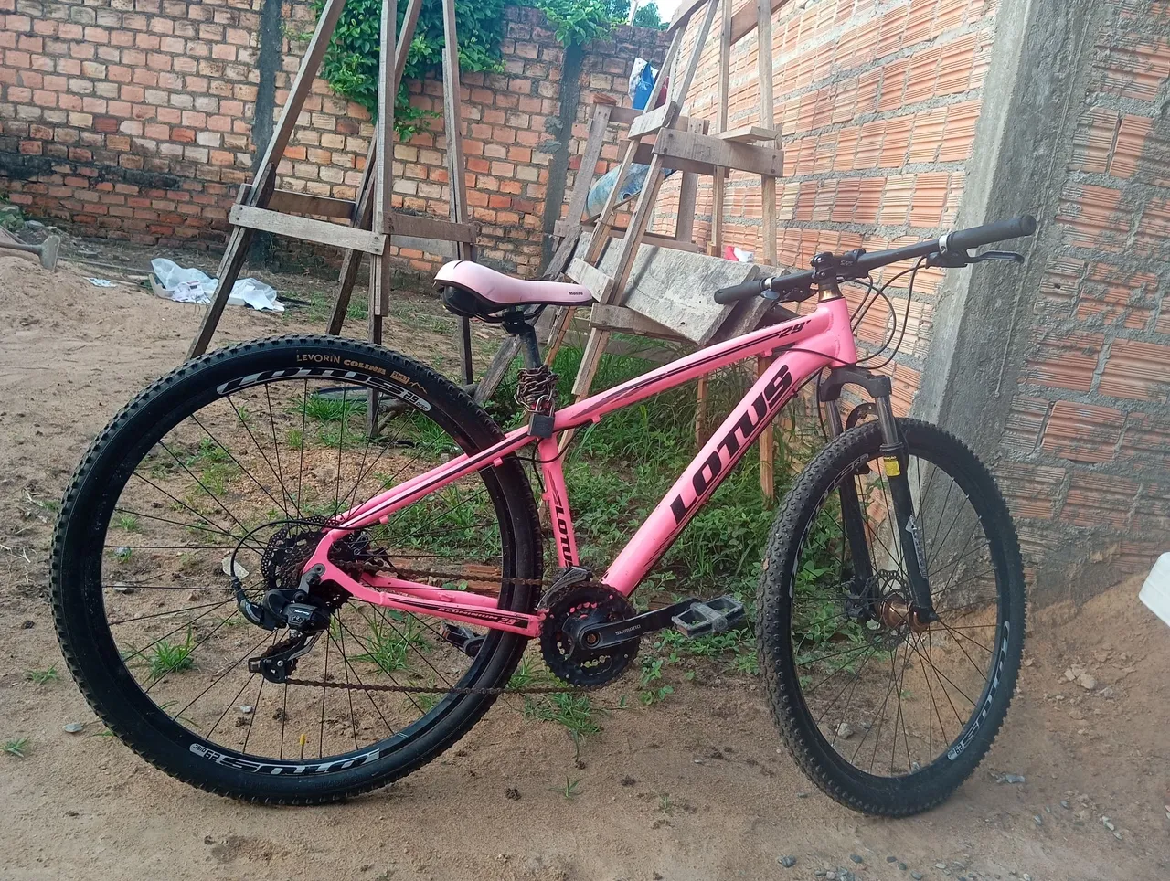 Bicicleta Lotus 29