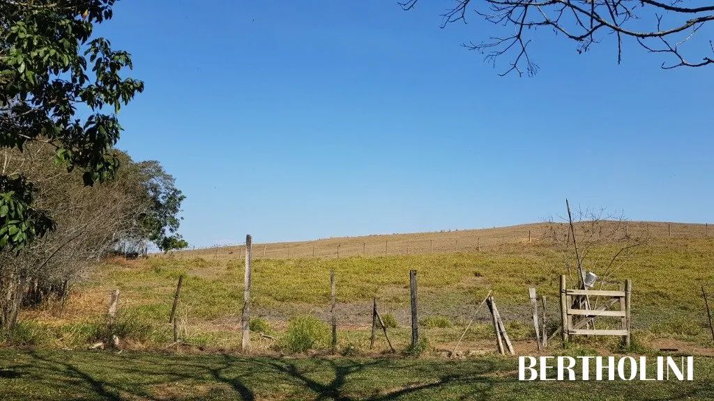 Excelente terreno no Jardim Martinelli - Foto 4