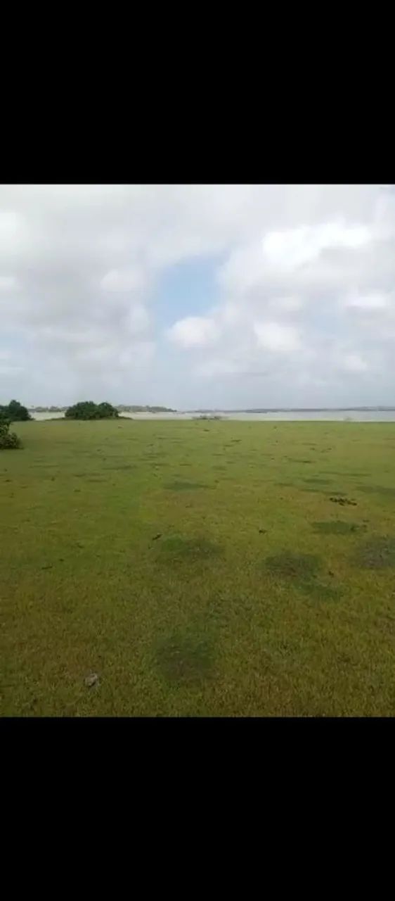 Vendo 90 Hectares de terra. - Foto 3