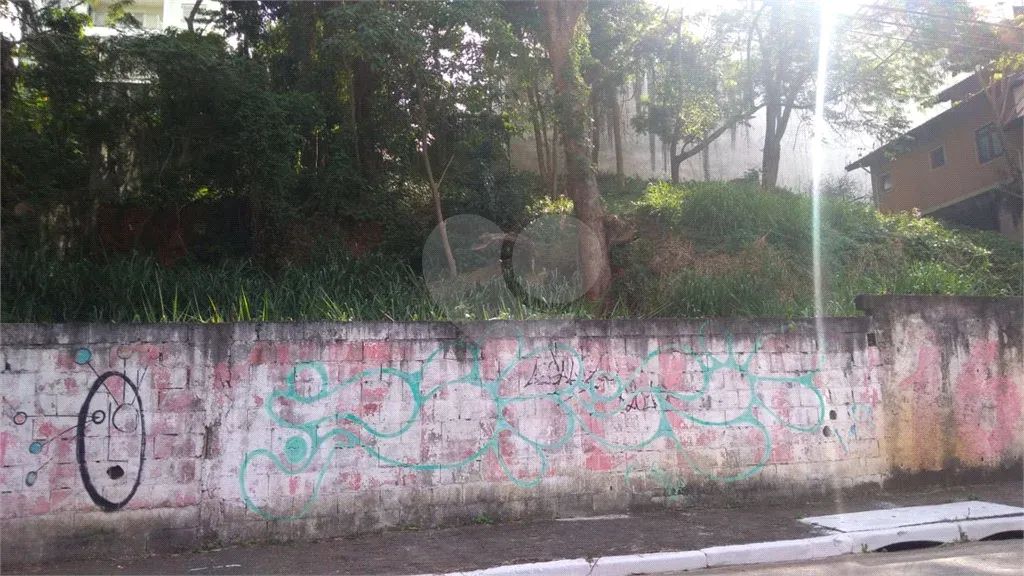 Terreno Jardim Bibi Oportunidade - Foto 3