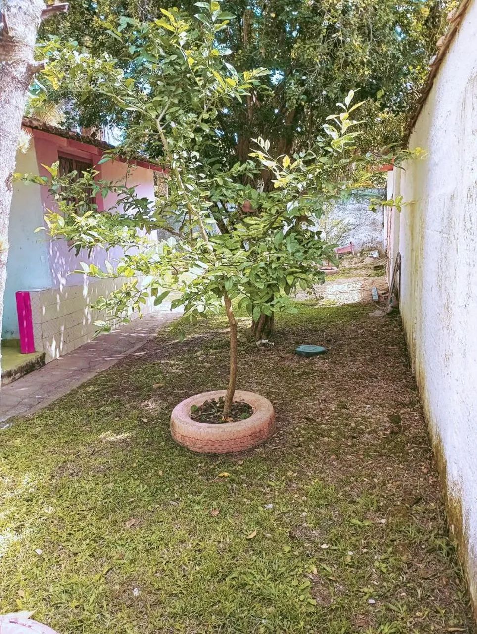 Foto - Itaguaí - Santa Cândida