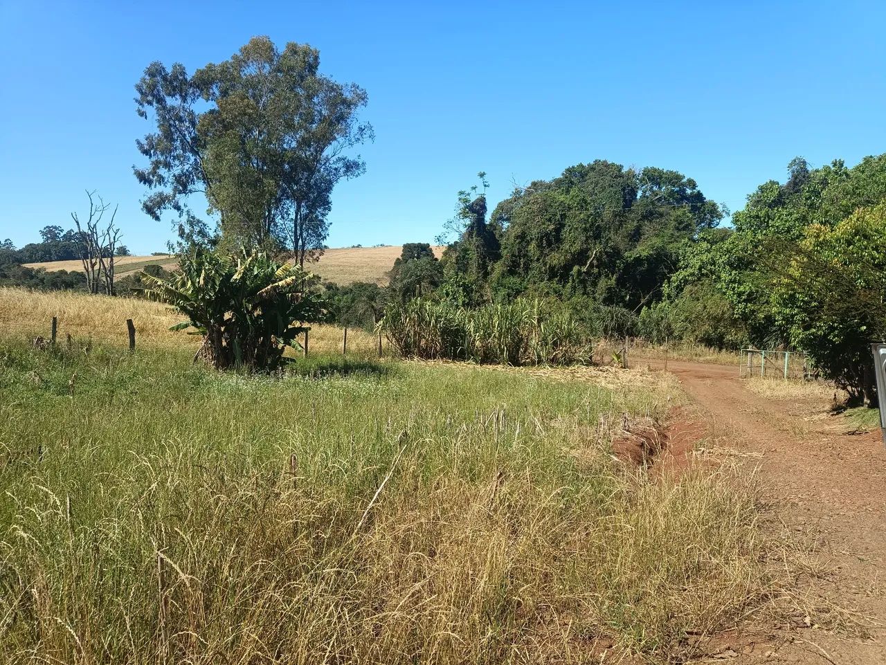 Chácara  - Foto 5
