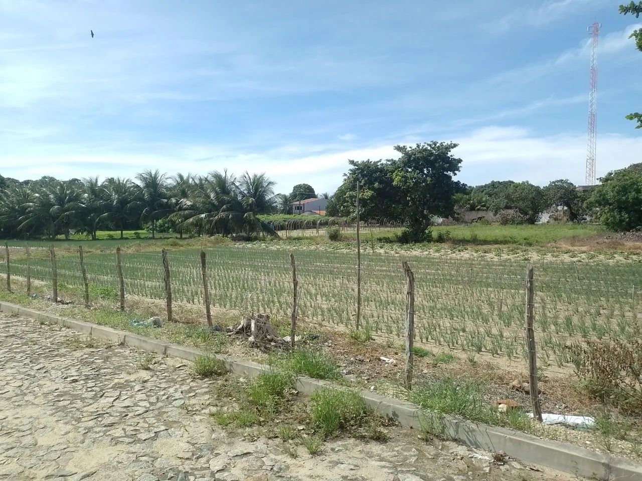 Terreno à venda proximo a CE-010, Encantada, Eusébio - Foto 3