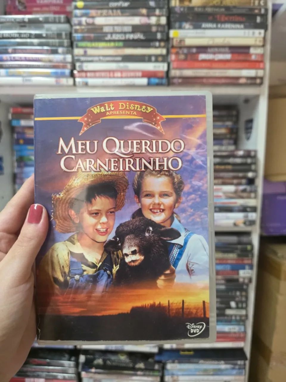 DVD Meu Querido Carneirinho - Disney