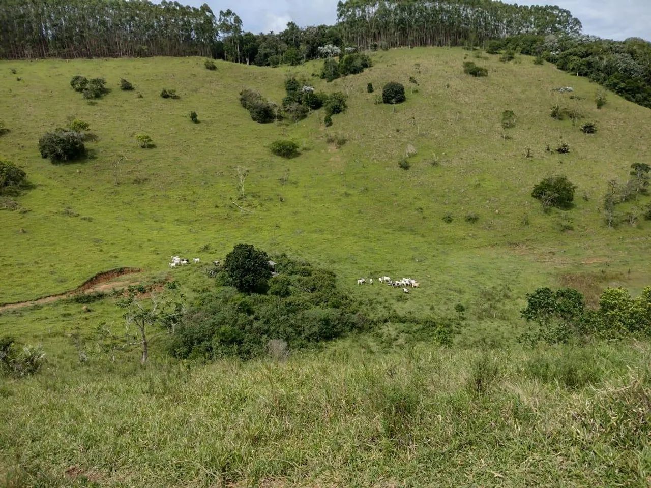 FAZENDA RURAL em Natividade da Serra - São Paulo, - Foto 4