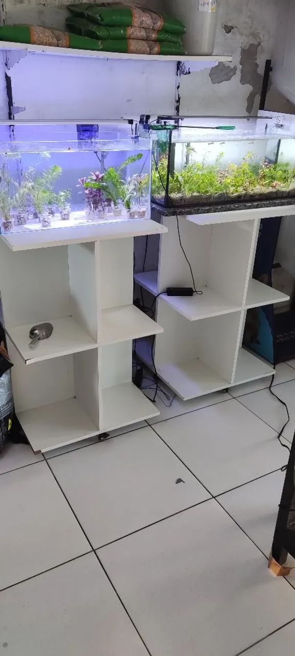 Vendo loja de aquarismo e agropet - Foto 5