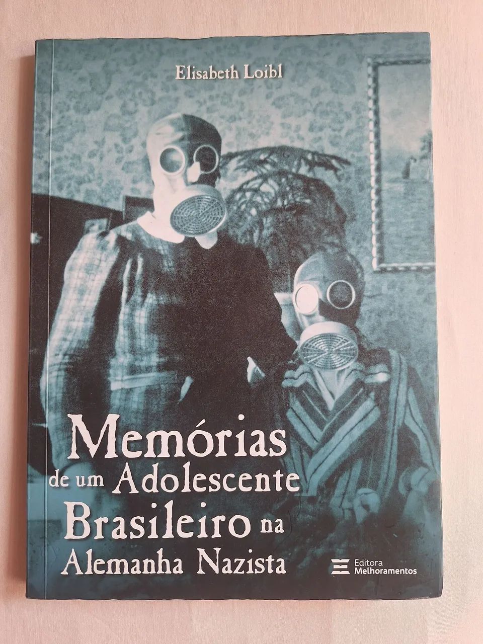 Memórias de um adolescente brasileiro na Alemanha nazista. 