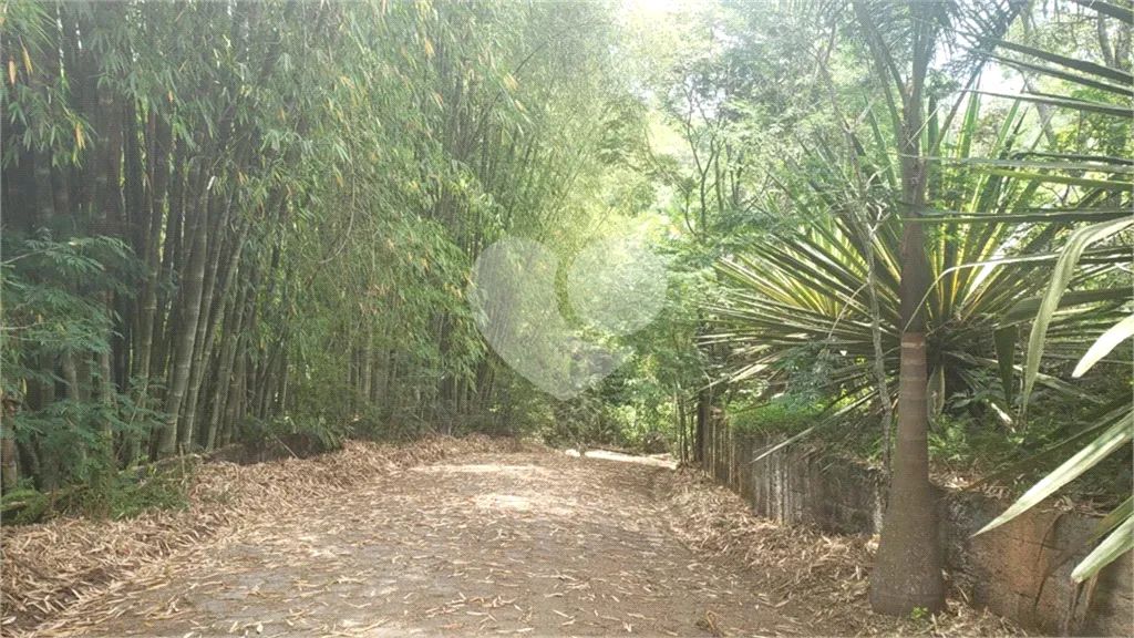 Terreno à venda em Palmeiras - SP - Foto 3