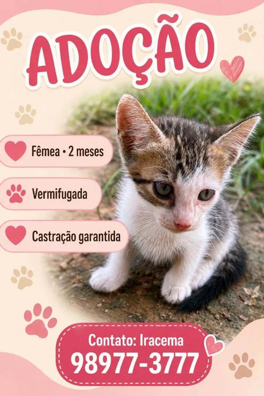 Doação 