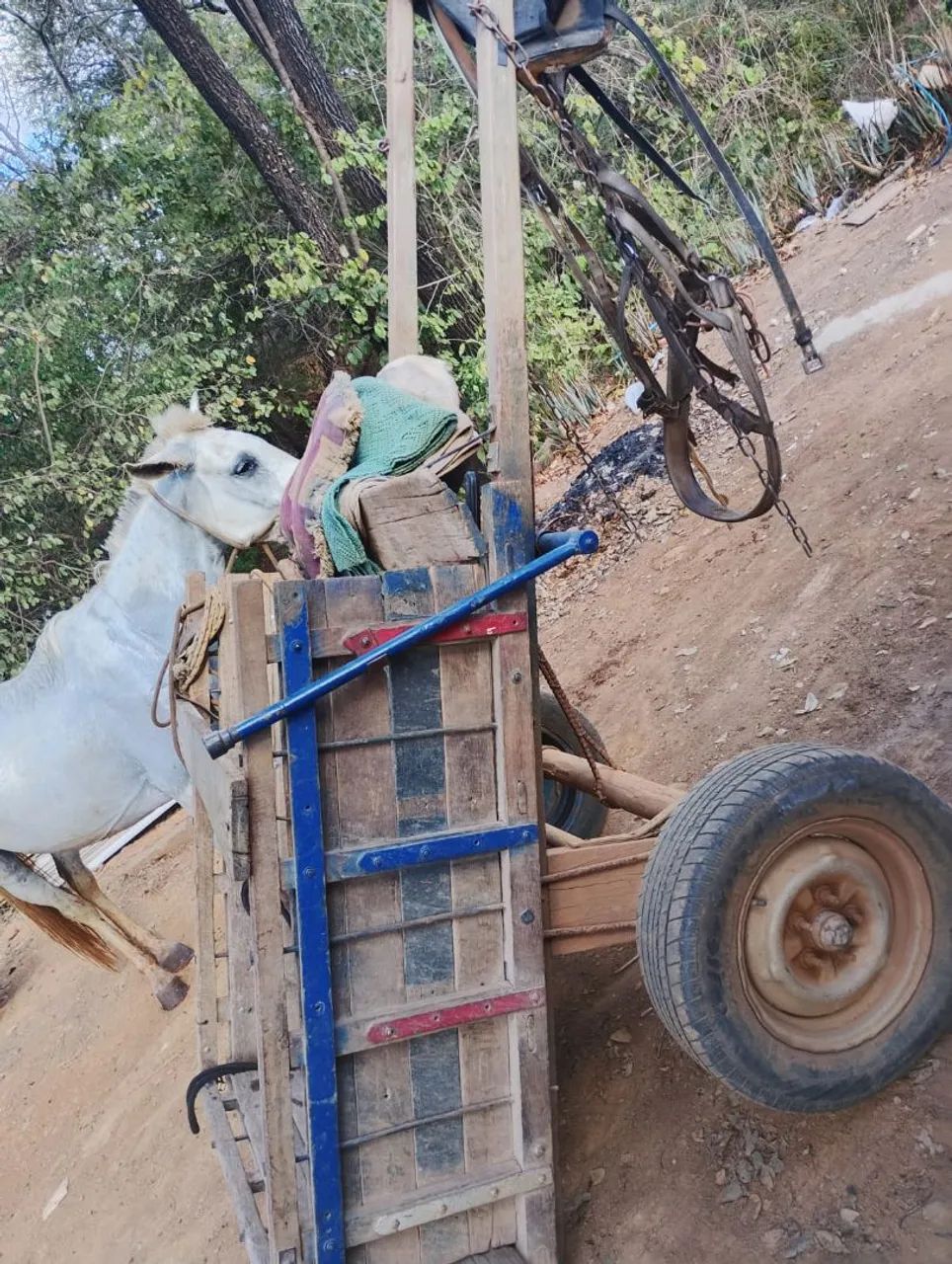 Vendo carroça arreada leia a escriçao   preço a combinar - Foto 4