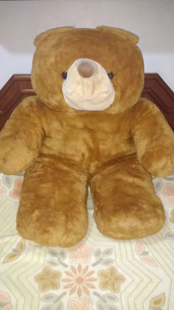 Urso marrom gigante