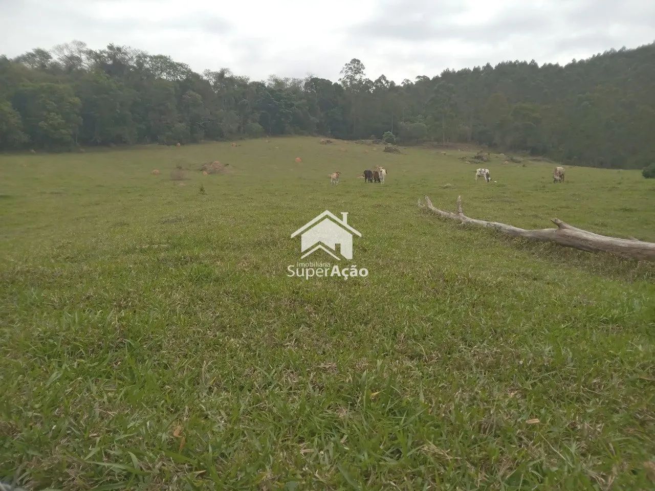 Área Rio Acima ll 5 Alqueires 121 Mil M²- Atibaia.