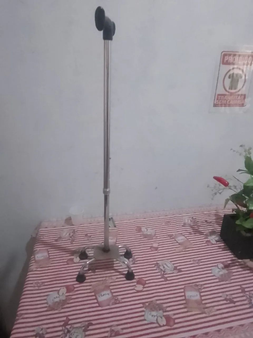 Vende-se bengala  - Foto 5