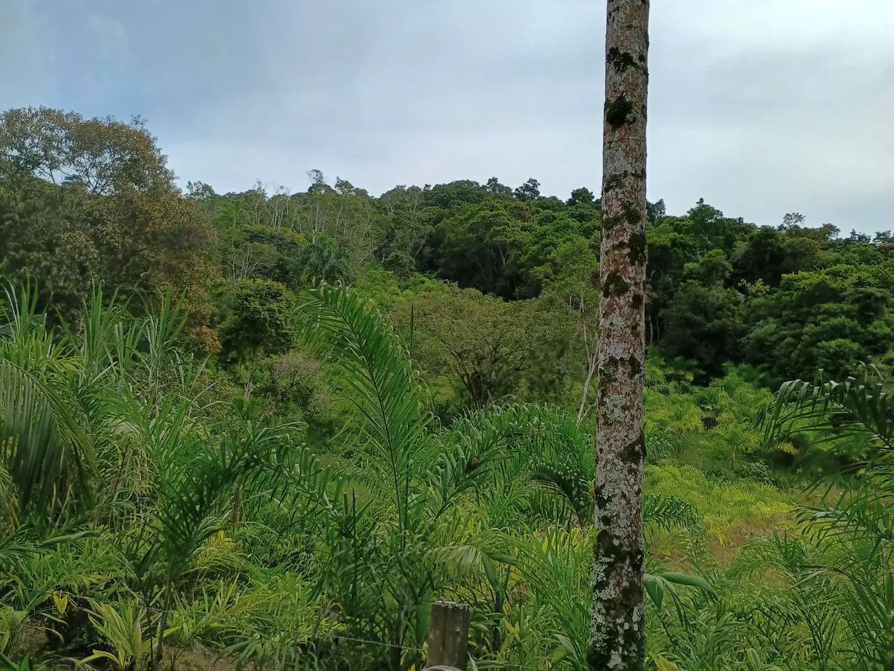 Vendo ou troco  - Foto 5