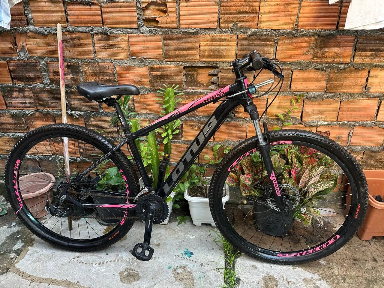 Bicicleta lótus  - Foto 2