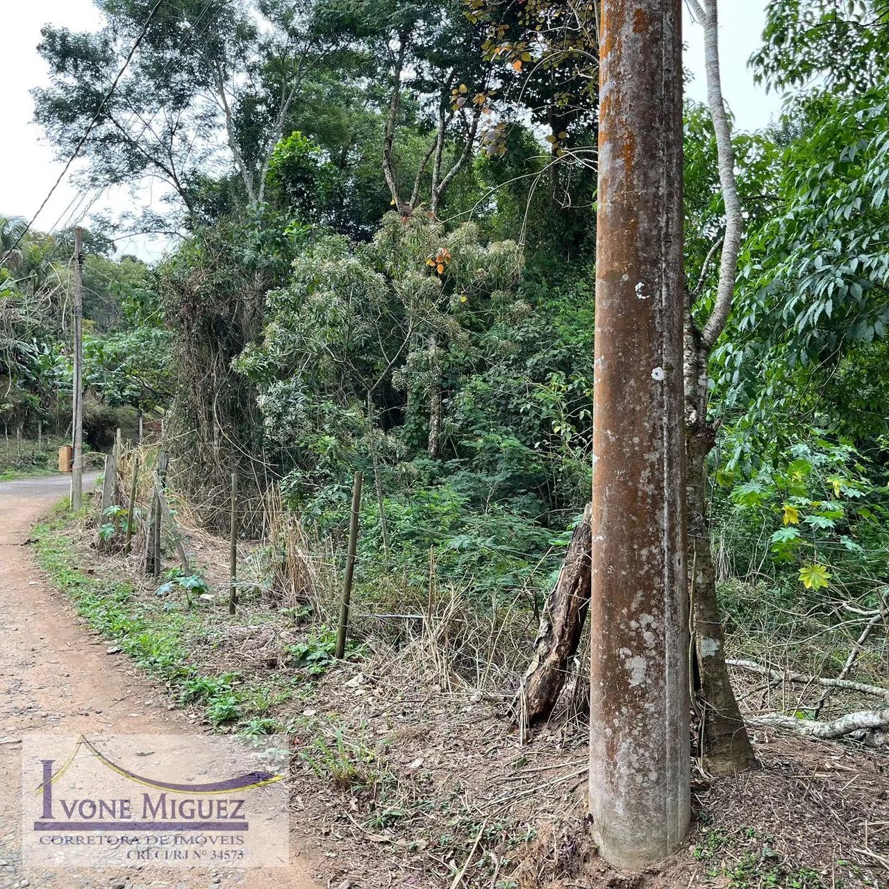 Terreno em Cinco Lagos - Mendes - Foto 4