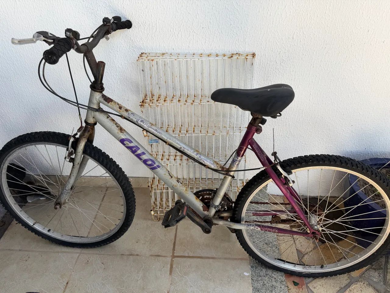 Bicicleta 