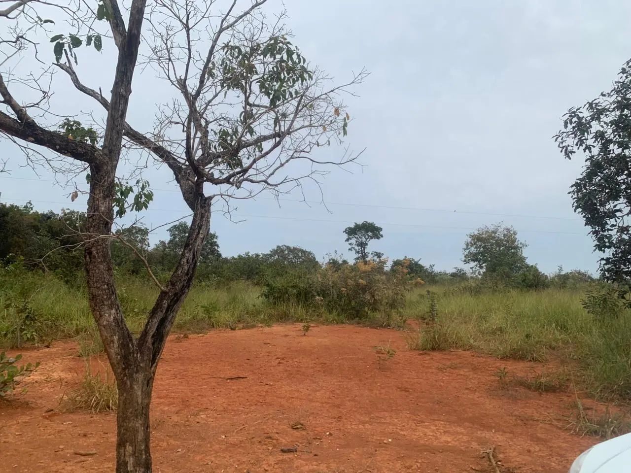 Lotes de 1000m² são Vicente baldin - Foto 3