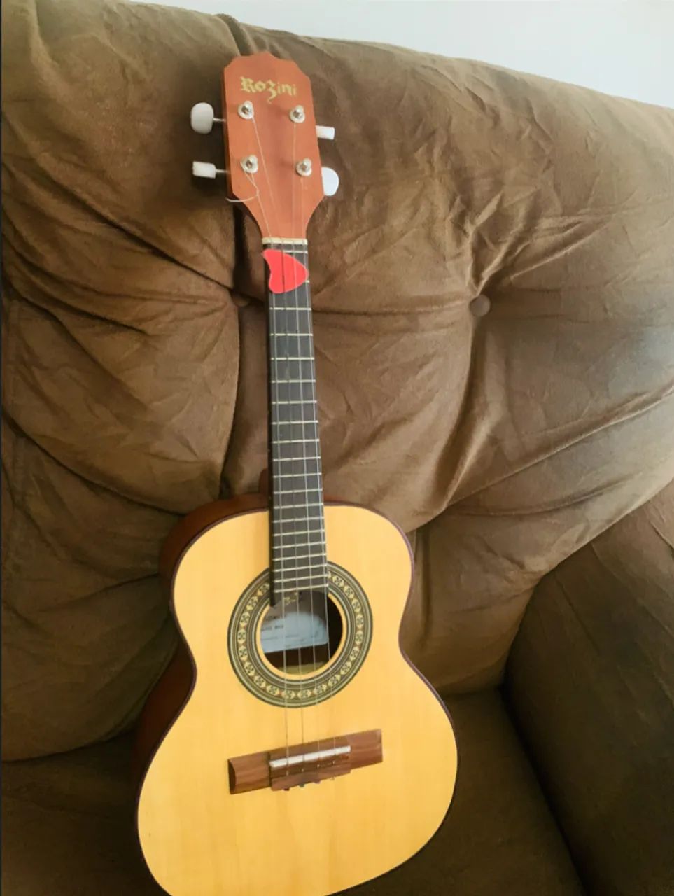 Cavaquinho Rozini Elétrico + Capa