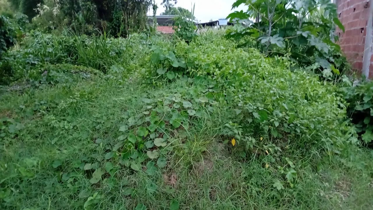 Foto - Japeri - Cidade Jardim Marajoara