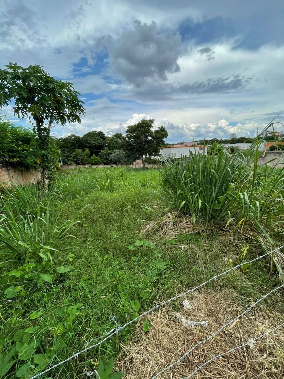 Terreno a venda no bairro Santa Marta! - Foto 3