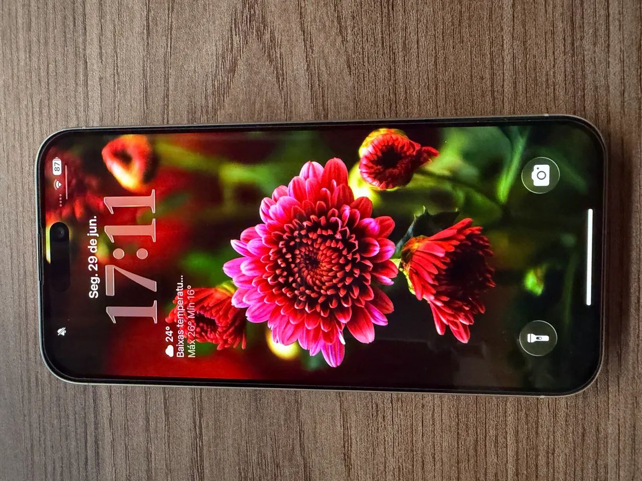 iPhone 15 Pro Max 256GB Branco  Seminovo - Foto 4