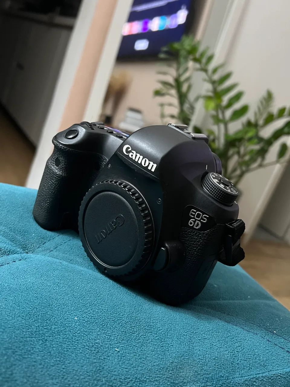 Cânon 6d420252116530636804