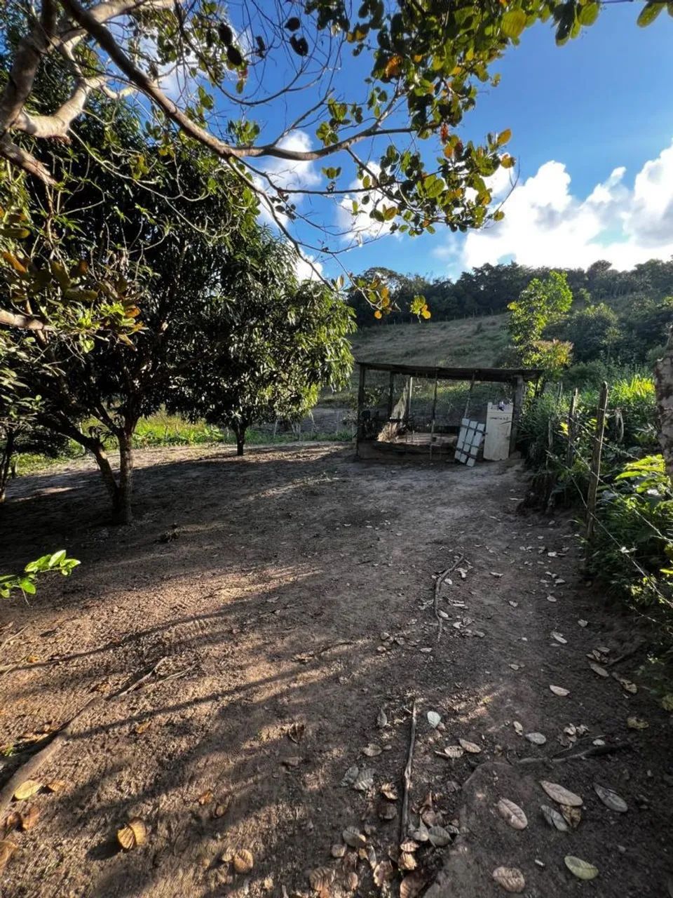 Sítio a venda - Foto 5
