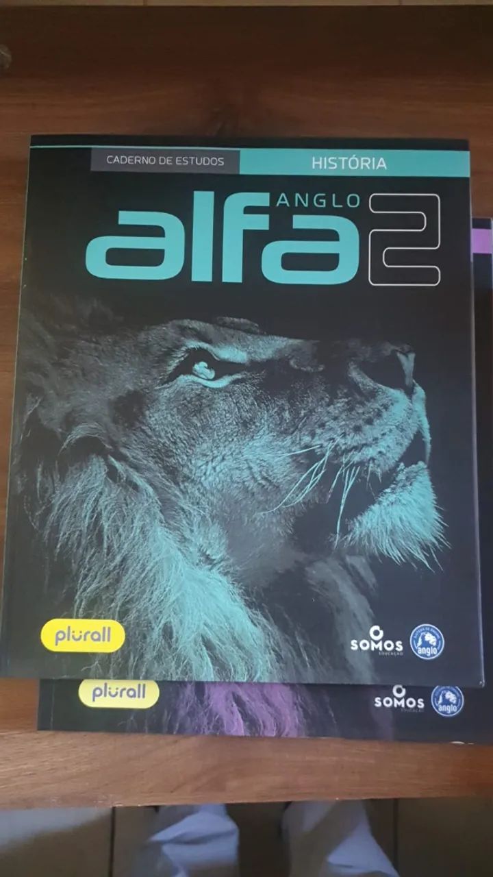 COMBO ANGLO ALFA 2 - Foto 3