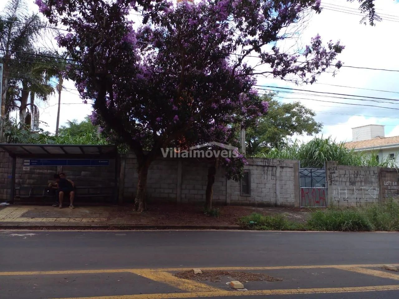 terreno - Parque Taquaral - Campinas - Foto 2