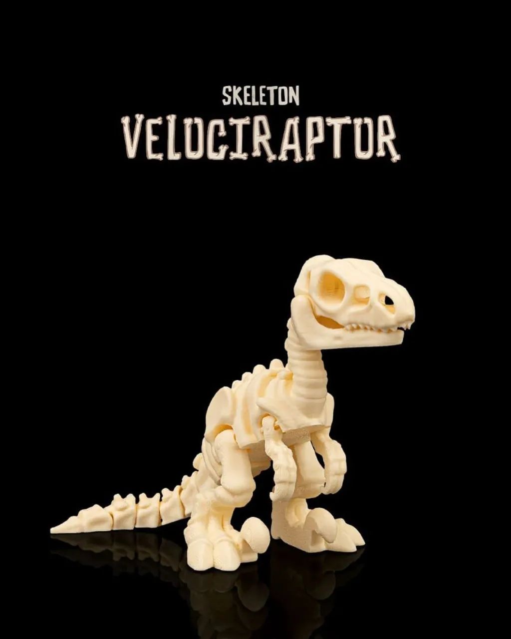  6 Peças ESQUELETOS DE DINOSSAUROS 3D - Foto 4