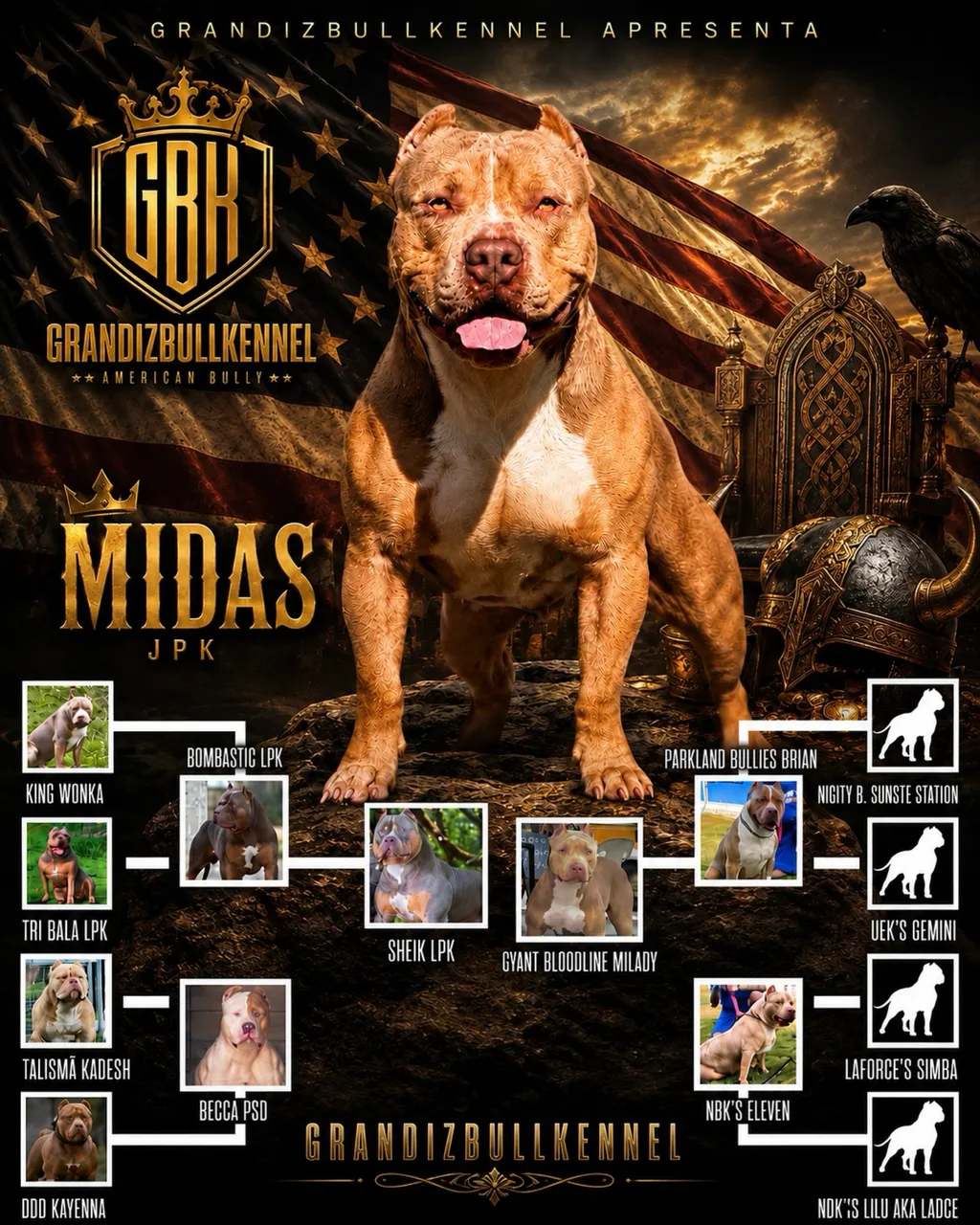 MACHO PIT MONSTER TRI LILAC SABLE DISPONÍVEL PARA VENDA OU