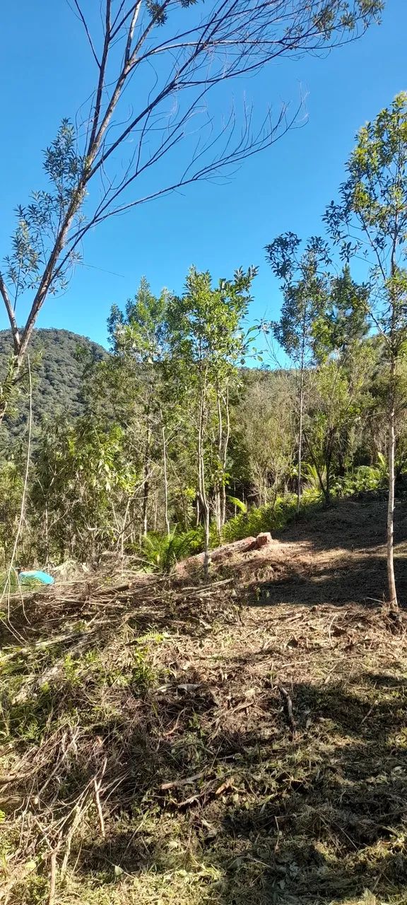 Vendo sítio em águas mornas  - Foto 2