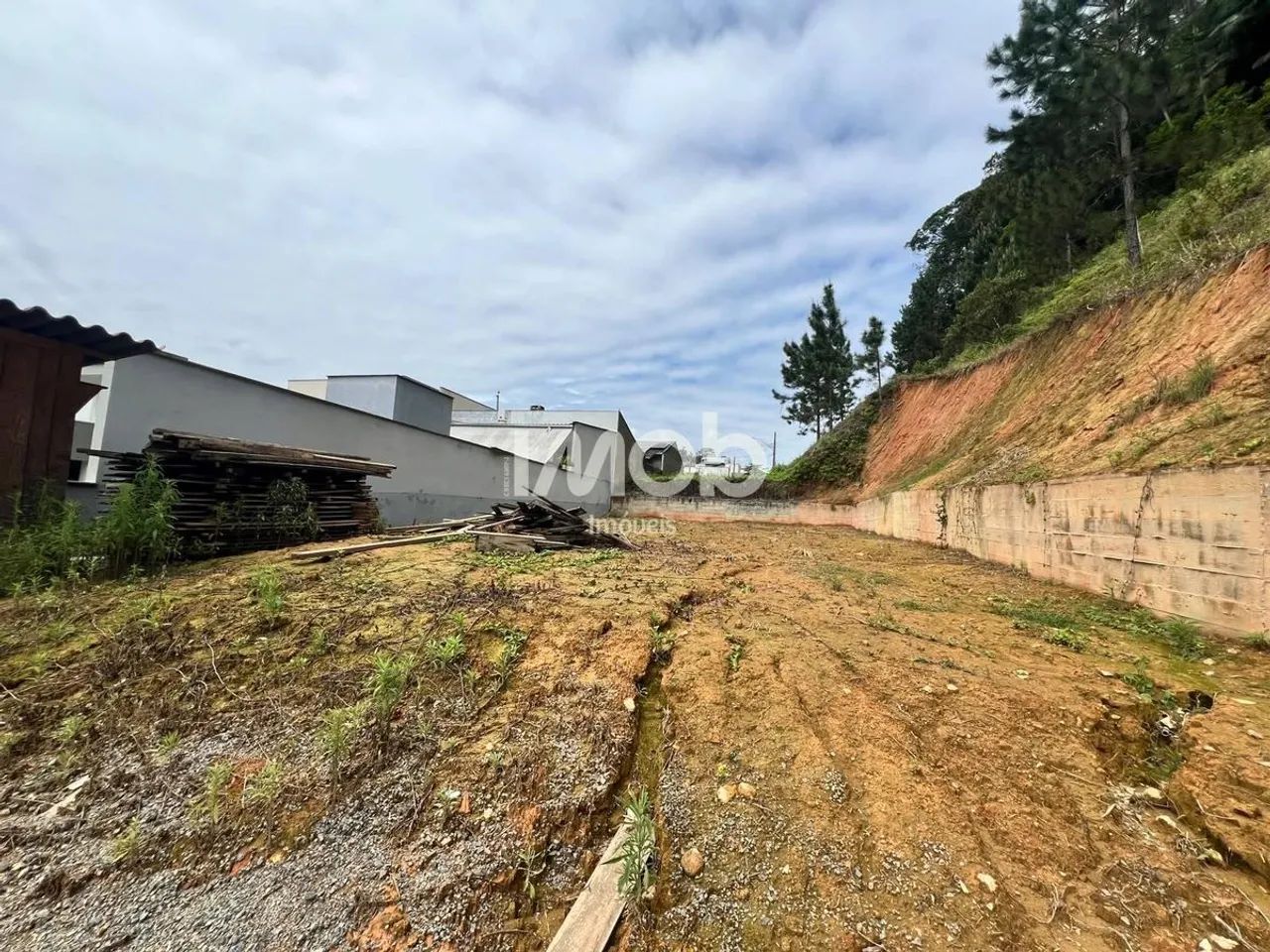 TERRENO COM 338 m², SÃO LUÍS - Foto 3