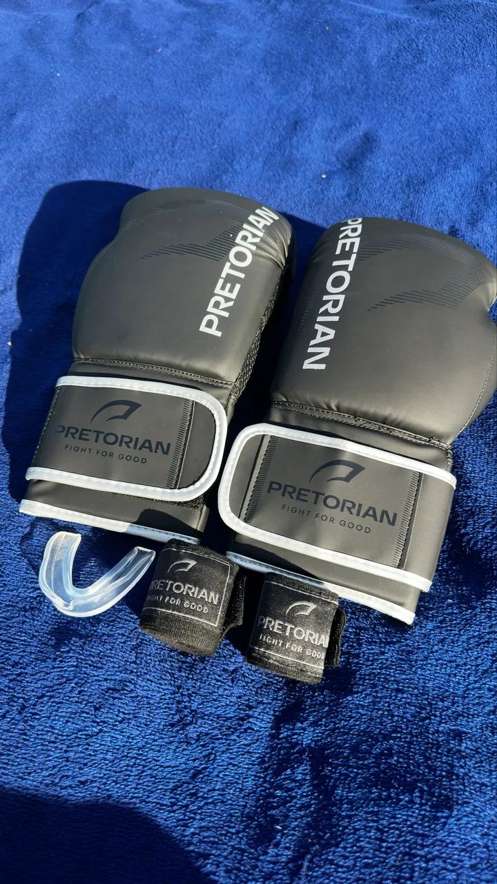 KIT LUVA DE BOXE E MUAY THAI FX2 PRETORIAN
