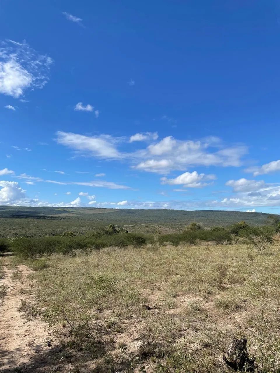 26 TAREFA EM IRAJUBA - Foto 5